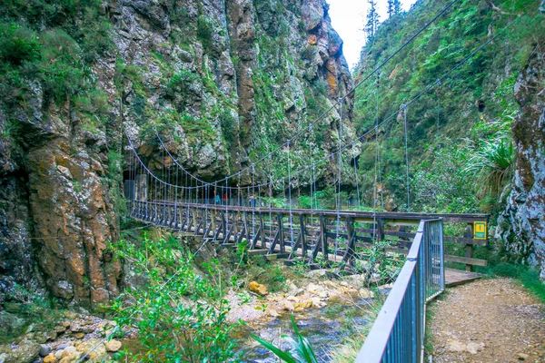 O desfiladeiro de Karangahake situa-se entre as cordilheiras de Coromandel e Kaimai, no extremo sul do Coromandel, rio que flui através do desfiladeiro de Karangahake cercado por floresta tropical nativa, Península em Nova — Fotografia de Stock