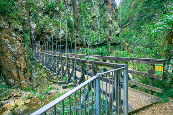 O desfiladeiro de Karangahake situa-se entre as cordilheiras de Coromandel e Kaimai, no extremo sul do Coromandel, rio que flui através do desfiladeiro de Karangahake cercado por floresta tropical nativa, Península em Nova — Fotografia de Stock