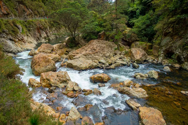 Kalme rivier loopt door het bos op Dickey vlakke Camping Karangahake, Nieuw-Zeeland — Stockfoto