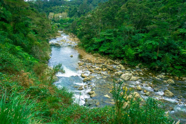 平静的河流贯穿在迪基平营地 Karangahake，新西兰森林 — 图库照片