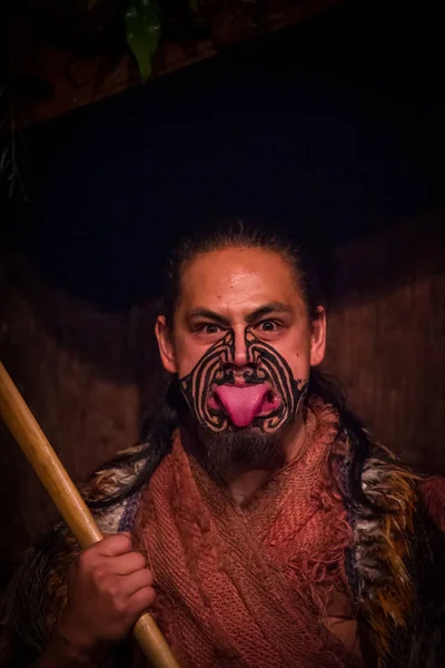 北の島, ニュージーランド-2017 年 5 月 17 日: マオリ人でマオリ文化、玉木文化村、ロトルア、ニュージーランドの伝統的な衣装で伝統的な刺青顔で舌を突き出して — ストック写真