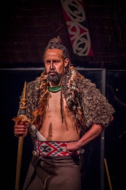 North Island, Yeni Zelanda - 17 Mayıs 2017: ahşap mızrak, geleneksel olarak dövmesi ile tutarak ciddi Tamaki Maori adam karşı karşıya, Maori kültürüne, New Tamaki kültür köyde giyen geleneksel kıyafet