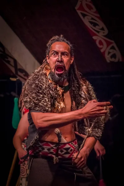 NORTH ISLAND, NEW ZEALAND - MAY 17, 2017: Close up of a screamingTamaki Maori man with traditionally tatooed face and in traditional dress at Maori Culture holding in his hands a rope, Tamaki Cultural — стоковое фото