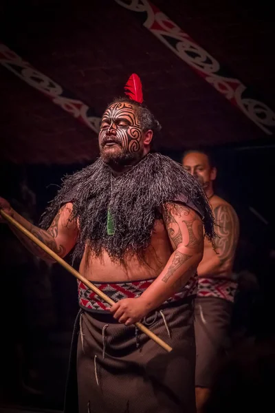 NORTH ISLAND, NEW ZEALAND - MAY 17, 2017: Close up of a Tamaki Maori leader man with traditionally tatooed face and in traditional dress at Maori Culture holding a wood lance and wearing a red feather — стоковое фото