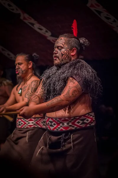 NORTH ISLAND, NEW ZEALAND - MAY 17, 2017: Close up of a Tamaki Maori leader man with traditionally tatooed face and in traditional dress at Maori Culture holding a wood lance and wearing a red feather — стоковое фото