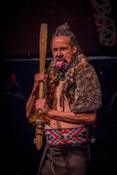 ISLA DEL NORTE, NUEVA ZELANDA - 17 DE MAYO DE 2017: Tamaki Maori hombre sobresaliendo de la lengua con la cara tradicionalmente tatuada y en traje tradicional en la cultura maorí, Tamaki Cultural Village, en Nueva Zelanda —  Fotos de Stock