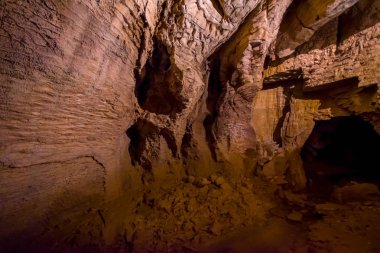 Yeni Zelanda'da bulunan şaşırtıcı Waitomo ateş böceği mağaralar