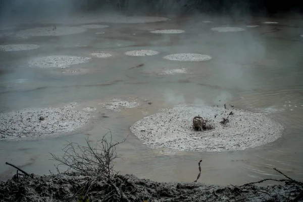 Bubbling Mud releasing Hydrogen Sulphide Gas. Geothermal Activity in Waitapu, New Zealand — Stock Photo, Image