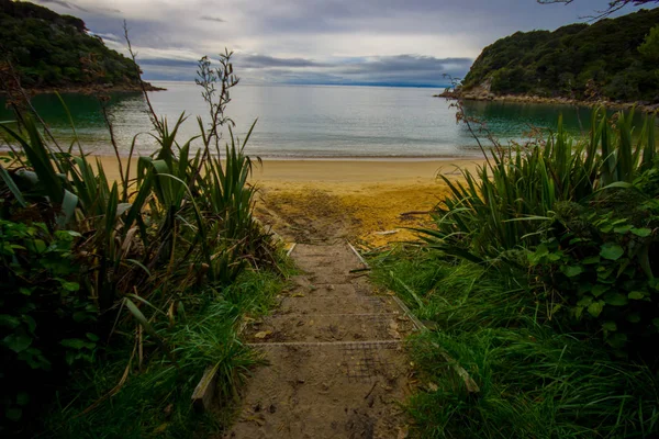 Hermosa vista costera ubicada en el Parque Nacional Abel Tasman, con un pequeño sendero entre la vegetación, en Nueva Zelanda — Foto de Stock