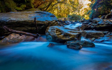 uzun pozlama görüntü bir şelale yemyeşil ılıman yağmur ormanlarında üzerinde west coast Yeni Zelanda