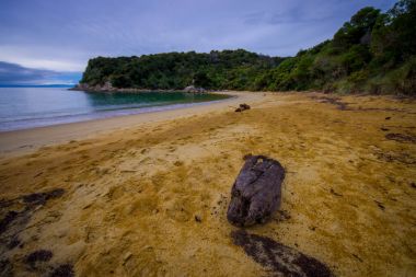 Kıyı manzarasına Abel Tasman Milli Parkı, Yeni Zelanda yer