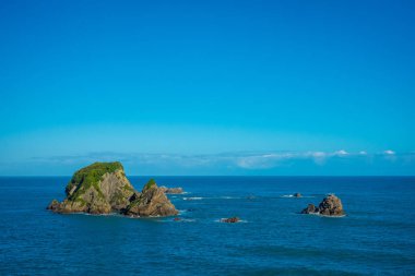 Cape Foulwind, mühür kolonisinde Tauranga Bay Cape Foulwind geçit görünümünden duvar ada. Yeni Zelanda