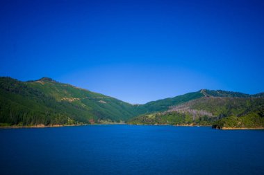 Kuzey Adası feribot south Island, Yeni Zelanda tarafından trafik kavaşağında güneşli bir günde muhteşem mavi gökyüzü ile güzel manzara