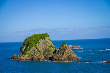 Cape Foulwind, mühür kolonisinde Tauranga Bay Cape Foulwind geçit görünümünden duvar ada. Yeni Zelanda
