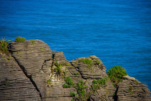 Krásný pohled palačinka skály v Punakaiki, Jižní ostrov, na Novém Zélandu — Stock fotografie