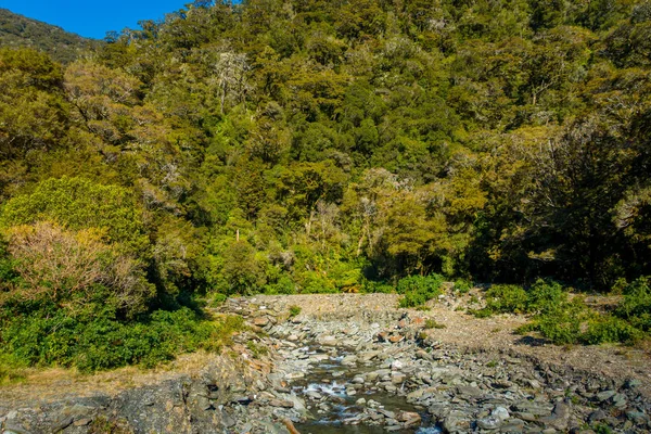Tropische creek, stroomt met de gletsjer water omgeving van vegetatie in Zuidereiland gelegen in Nieuw-Zeeland — Stockfoto