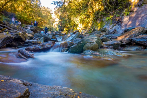 Long Exposure image of a Waterfall in Lush Temperate Rainforest on the West Coast of New Zealand