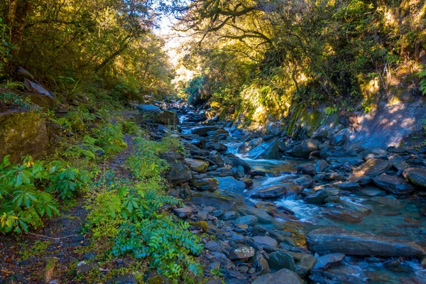 Lange blootstelling afbeelding van een waterval in weelderige gematigde regenwoud op de west kust van Nieuw-Zeeland — Stockfoto