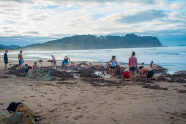 North Island, Yeni Zelanda - 16 Mayıs 2017: turist kendi Kaplıcalar sıcak su Beach, Coromandel kazma. 130.000 yıllık ziyaretçi bu Waikato bölgedeki en popüler konumlar biri olun