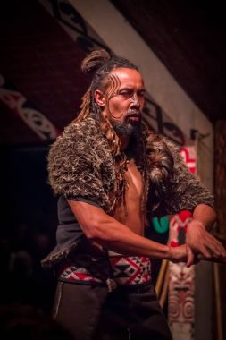 North Island, Yeni Zelanda - 17 Mayıs 2017: Maori onun elinde tahta bir sopa tutan ve yapıyor kültür geleneksel kıyafet giyen Takami Maori adamla dövmesi yüzünde, geleneksel olarak bir