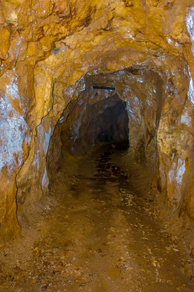 Historische spoorwegtunnel, een deel van een oude gold mine vervoersysteem gelegen op het Noordereiland in Nieuw-Zeeland — Stockfoto