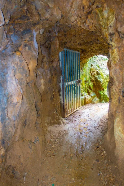 歴史的な鉄道トンネル、ニュージーランドの北の島にある古い金鉱山交通システムの一部を入力してください。 — ストック写真