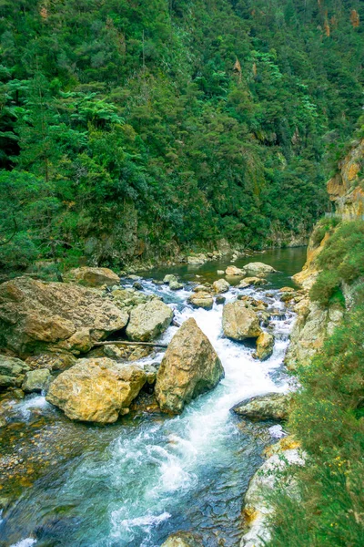 Kalme rivier loopt door het bos op Dickey vlakke Camping Karangahake, Nieuw-Zeeland — Stockfoto