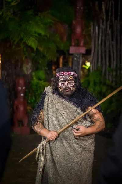 Noord eiland, Nieuw-Zeeland - 17 mei 2017: Maori man met traditioneel tatooed gezicht in traditionele kleding bij Maori cultuur doet een traditionele dans houden een houten stok, Tamaki Cultural Village — Stockfoto