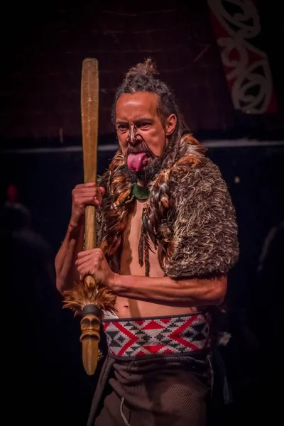 North Island, Yeni Zelanda - 17 Mayıs 2017: dil ile geleneksel dövmesi yüz ve Maori kültür, Tamaki kültür Köyü, Yeni Zelanda, geleneksel kıyafet dışarı yapışmasını Tamaki Maori adam