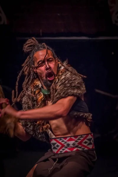 Severní ostrov, Nový Zéland - 17. května 2017: Tamaki Maori muž tančí s tradičně tatooed tváří a v tradičním kroji kultury Maori, Tamaki Cultural Village, na Novém Zélandu — Stock fotografie