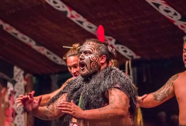 NORTH ISLAND, NEW ZEALAND - MAY 17, 2017: Close up of a Tamaki Maori leader man dancing with traditionally tatooed face and in traditional dress at Maori Culture wearing a red feather in his head — стоковое фото