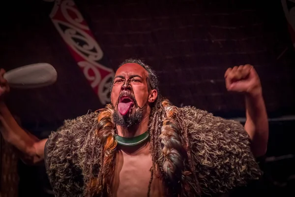 НОРТ-ОСТРОВ, НЬЮ-ЙОРК, 17 января 2017 года: мужчина маори тамаки, торчащий из языка с традиционно татуированным лицом и в традиционной одежде в Культурной деревне маори, Роторуа, Новая Зеландия — стоковое фото