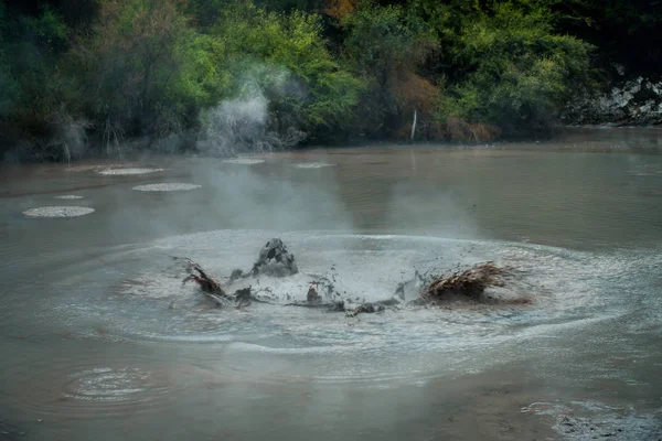 释放出氢硫化物气体鼓泡泥。地热活动在新西兰 Waitapu — 图库照片