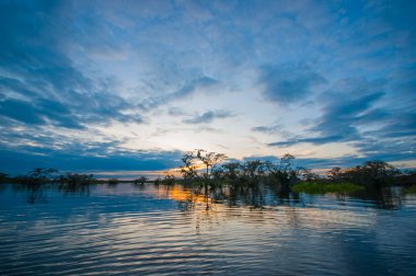 Laguna Grande, Cuyabeno Wildlife Reserve, Amazon Havzası, Ekvador, su dolu bir ormanda silhouetting günbatımı