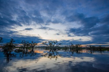 Laguna Grande, Cuyabeno Wildlife Reserve, Amazon Havzası, Ekvador, su dolu bir ormanda silhouetting günbatımı