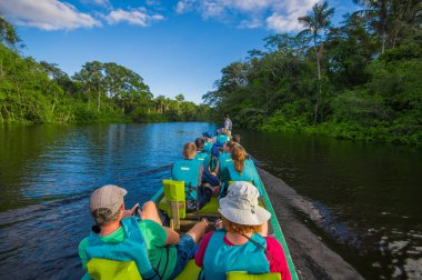 Cuyabeno, Ekvator - 16 Kasım 2016: kimliği belirsiz kişi Cuyabeno Milli Parkı, Ekvador Amazon ormanları derinliği içine tekne ile seyahat