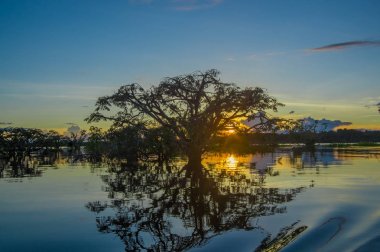Laguna Grande içinde Cuyabeno Wildlife Reserve Milli Parkı, Ekvator üzerinde günbatımında karşı bir turuncu gökyüzü kontrast ağaçlar