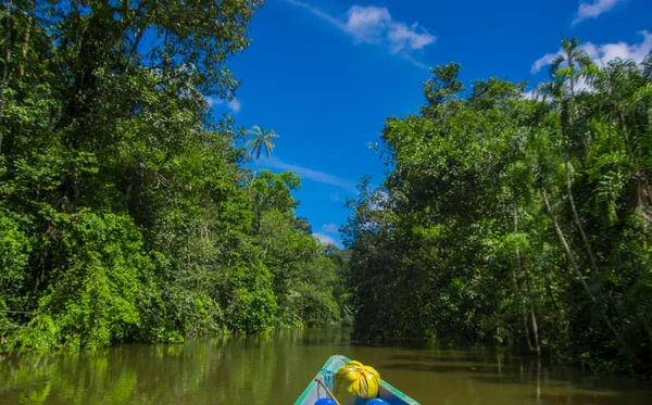 Travelling by boat into the depth of Amazon Jungles in Cuyabeno National Park, Ecuador — Stock Photo, Image