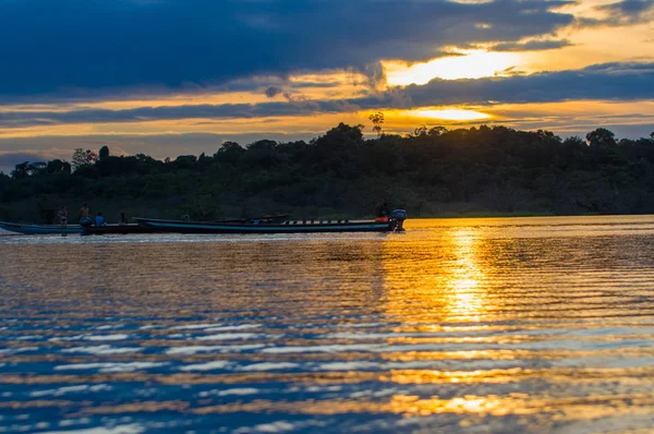 Bomen afsteekt tegen een oranje hemel bij zonsondergang Laguna Grande in het Cuyabeno Wildlife Reserve Nationaal Park, in Ecuador — Stockfoto