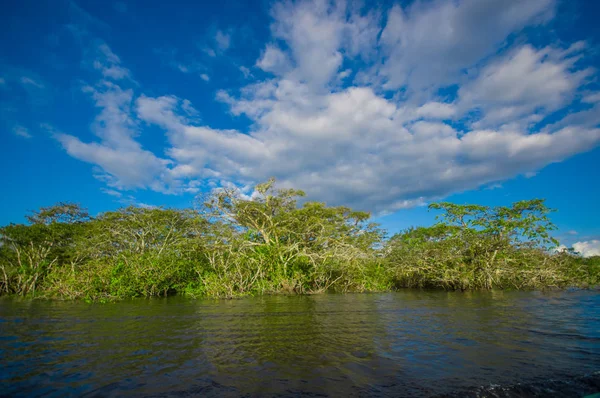 Река Куябено, тропические леса, местность коренного населения Сионы. Транспорт по реке на моторных лодках, отличное место для посещения, джунгли, много животных. в Национальном парке Куябено, в Эквадоре — стоковое фото