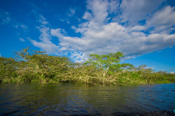 Rio Cuyabeno, floresta tropical, terreno de povos indígenas de Siona. Transporte pelo rio por lanchas, ótimo lugar para visitar, selva, muitos animais. em Cuyabeno National Park, no Equador — Fotografia de Stock