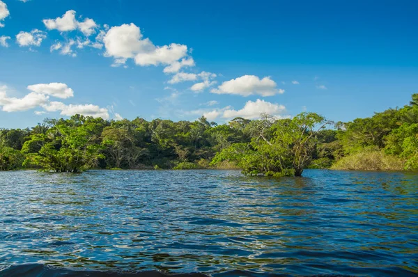 库亚贝纳河, 热带雨林, 地形的锡奥纳原住民。乘坐摩托艇, 游览的好地方, 丛林, 很多动物。在厄瓜多尔的 cuyabeno 国家公园 — 图库照片