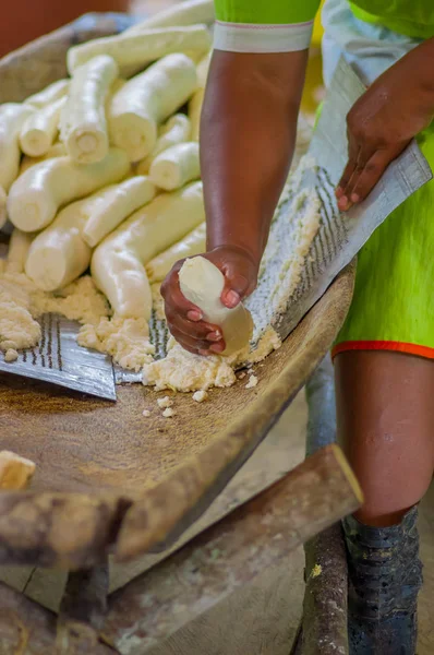 Yuca rallada siendo preparada para pan en un pueblo de Siona en la Reserva de Vida Silvestre Cuyabeno, Ecuador —  Fotos de Stock