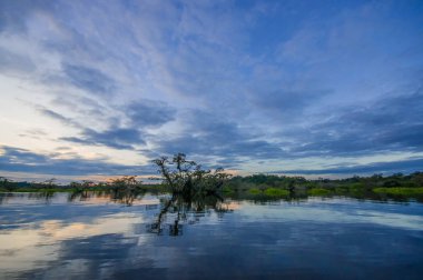 Laguna Grande, Cuyabeno Wildlife Reserve, Amazon Havzası, Ekvador, su dolu bir ormanda silhouetting günbatımı