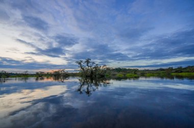 Laguna Grande, Cuyabeno Wildlife Reserve, Amazon Havzası, Ekvador, su dolu bir ormanda silhouetting günbatımı