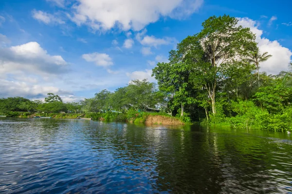 Плотная растительность на реке Куябено в тропических лесах Амазонки в Национальном парке заповедника дикой природы Куябено, Южная Америка Эквадор — стоковое фото