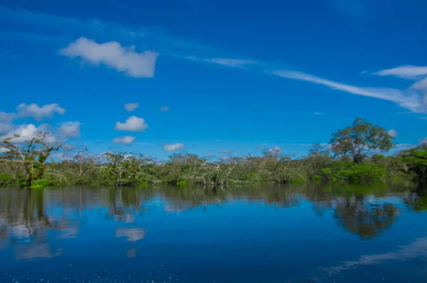 Dense vegetation on Cuyabeno river inside of the amazon rainforest in Cuyabeno Wildlife Reserve National Park, South America Ecuador — Stock Photo, Image