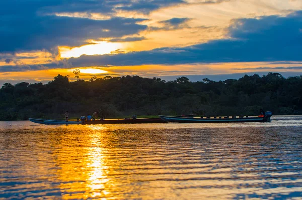 ラグーナ グランデ Cuyabeno 野生生物保護区国立公園で、エクアドルの上夕日でオレンジ色の空を背景にシルエットの木 — ストック写真