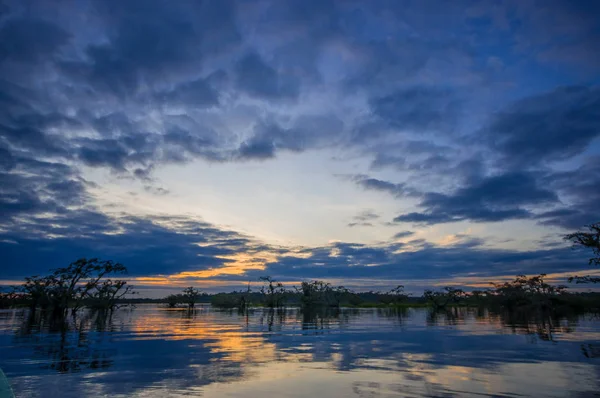 Atardecer silueta una selva inundada en Laguna Grande, en la Reserva de Vida Silvestre Cuyabeno, Cuenca Amazónica, Ecuador — Foto de Stock