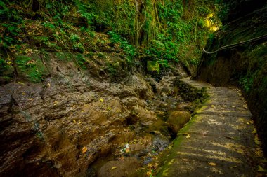 Yol maymun orman sığınak, bir doğa rezerv ve Hindu tapınağı Ubud, Bali, Endonezya karmaşık içinde kafa
